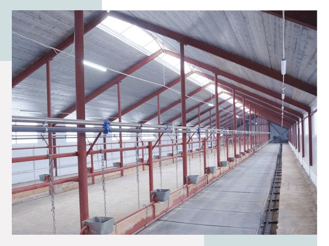 Строительство коровников в Елизово от 608 руб.