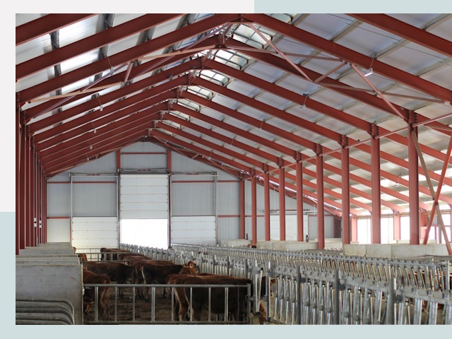 Строительство коровников в Елизово