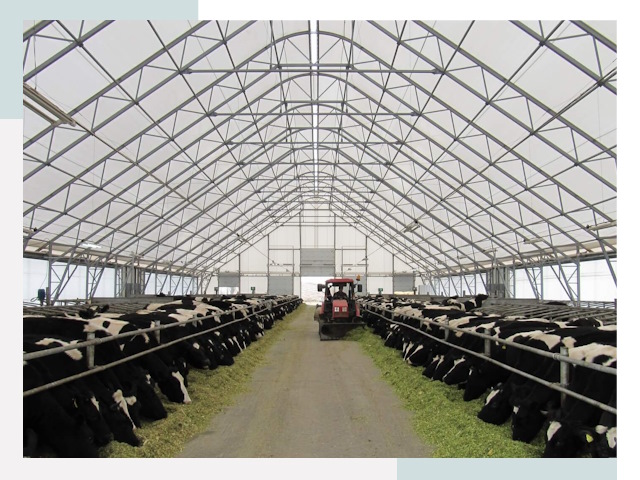 Тентовые коровники в Елизово от 608 руб. - Надежно и доступно