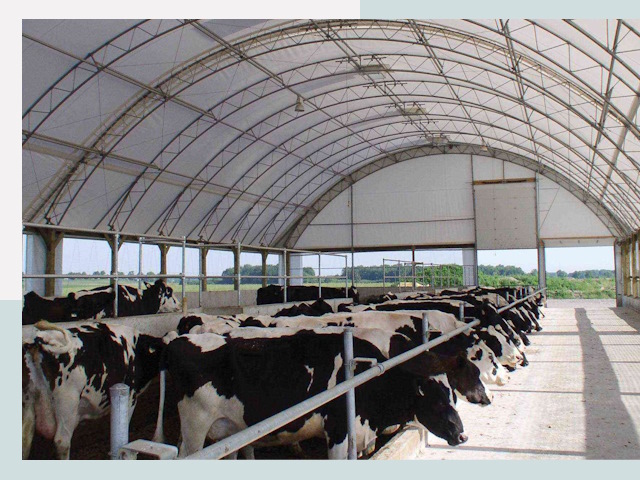 Тентовые коровники в Елизово
